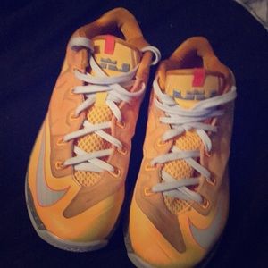 Lebron Nike Shoes